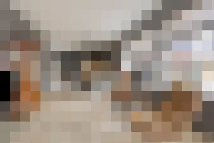 Koningshof 1 Riel thumbnail 16