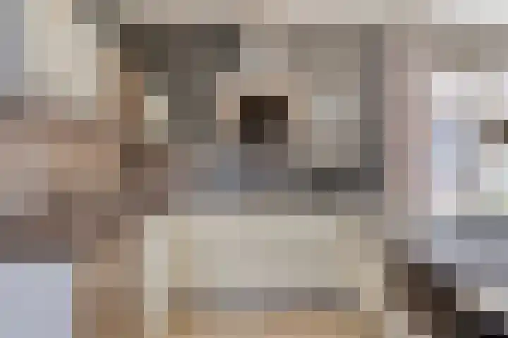 Koningshof 1 Riel thumbnail 19