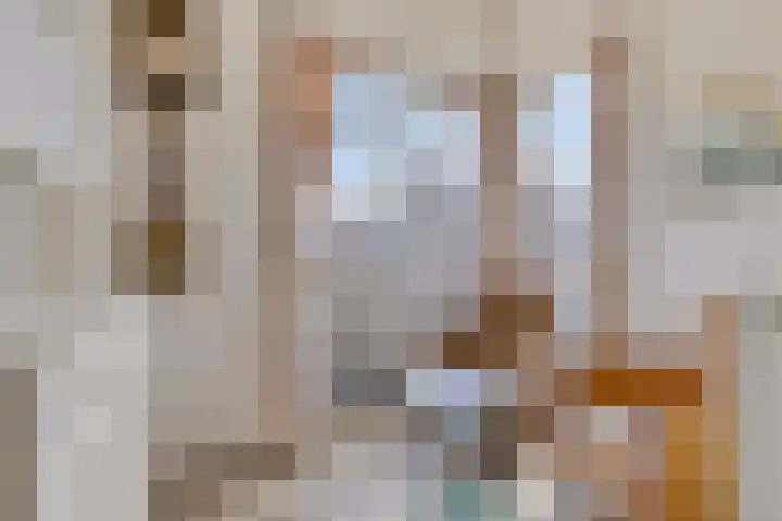 Koningshof 1 Riel thumbnail 32