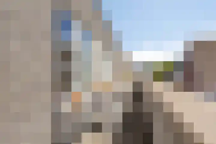 Koningshof 1 Riel thumbnail 36