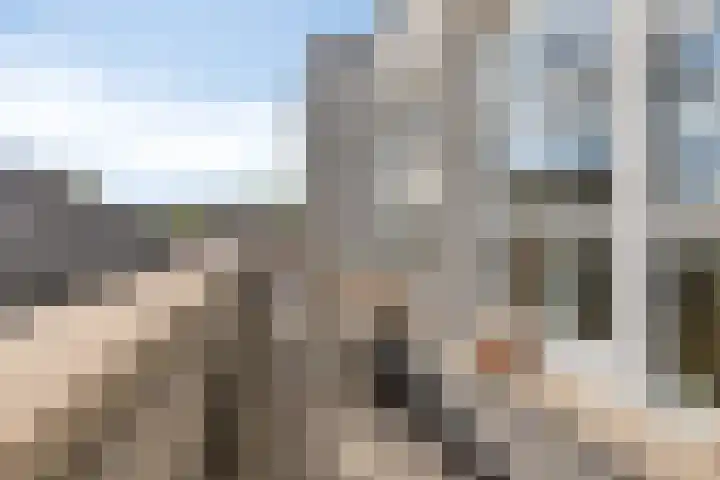 Koningshof 1 Riel thumbnail 37