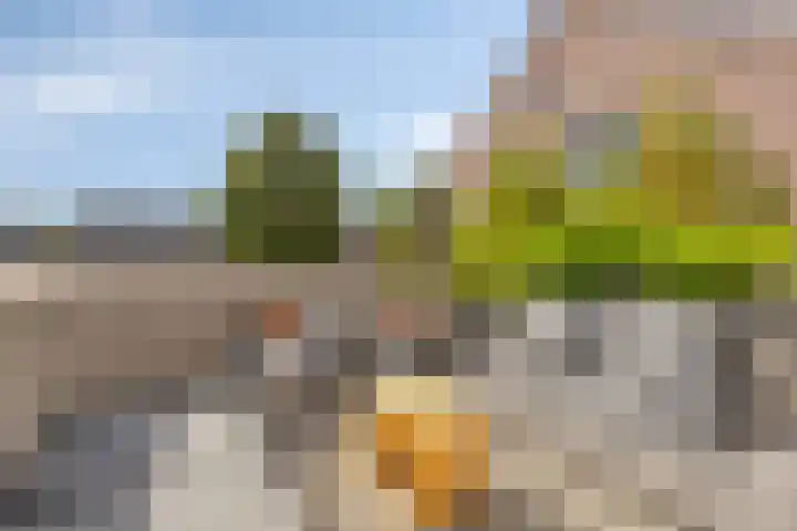 Koningshof 1 Riel thumbnail 38