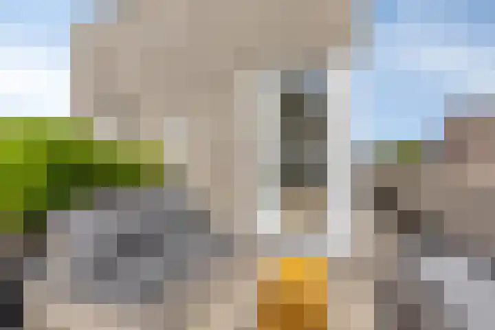 Koningshof 1 Riel thumbnail 39