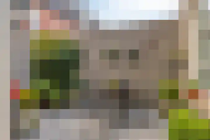 Koningshof 1 Riel thumbnail 42