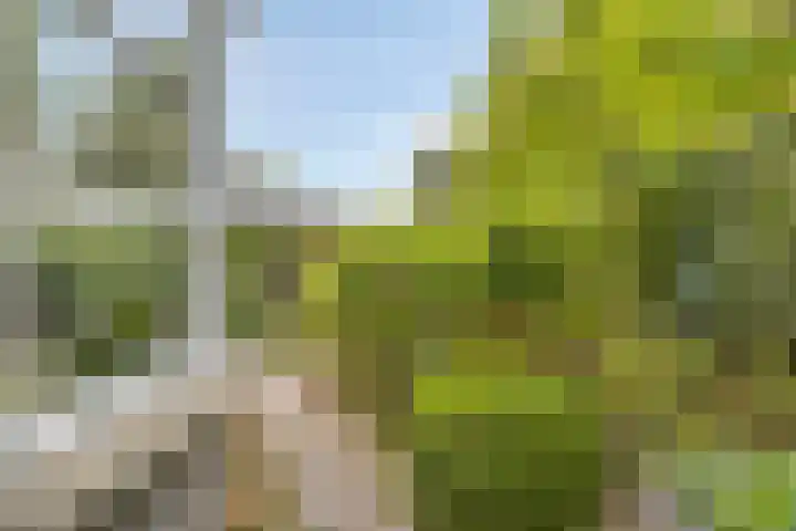 Koningshof 1 Riel thumbnail 45