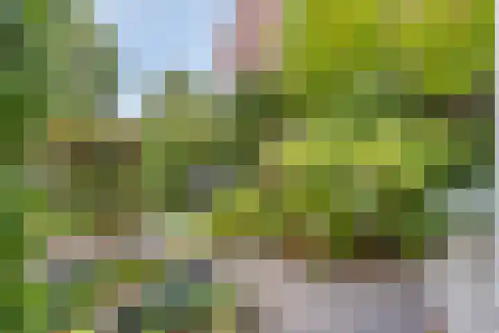 Koningshof 1 Riel thumbnail 46