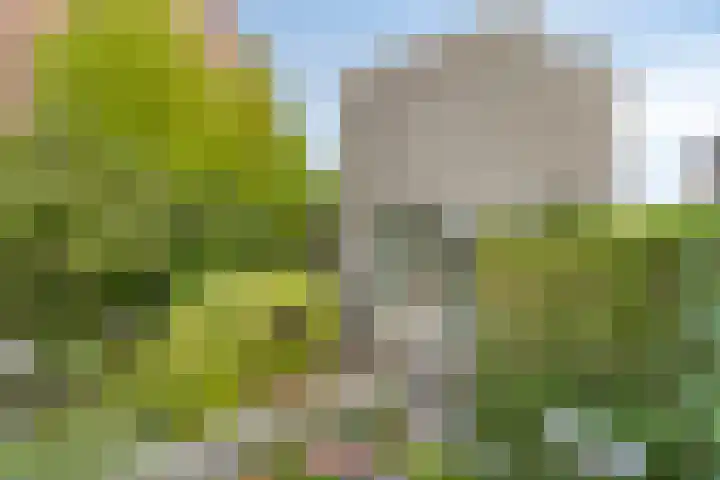 Koningshof 1 Riel thumbnail 47