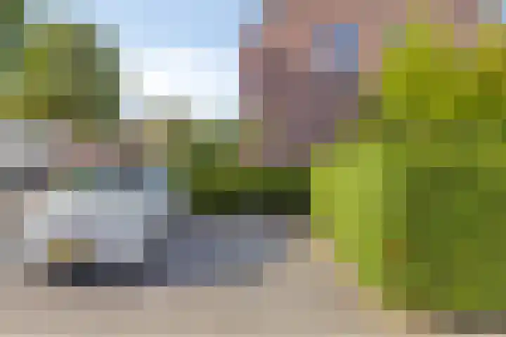 Koningshof 1 Riel thumbnail 50