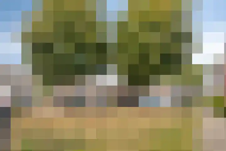 Koningshof 1 Riel thumbnail 51