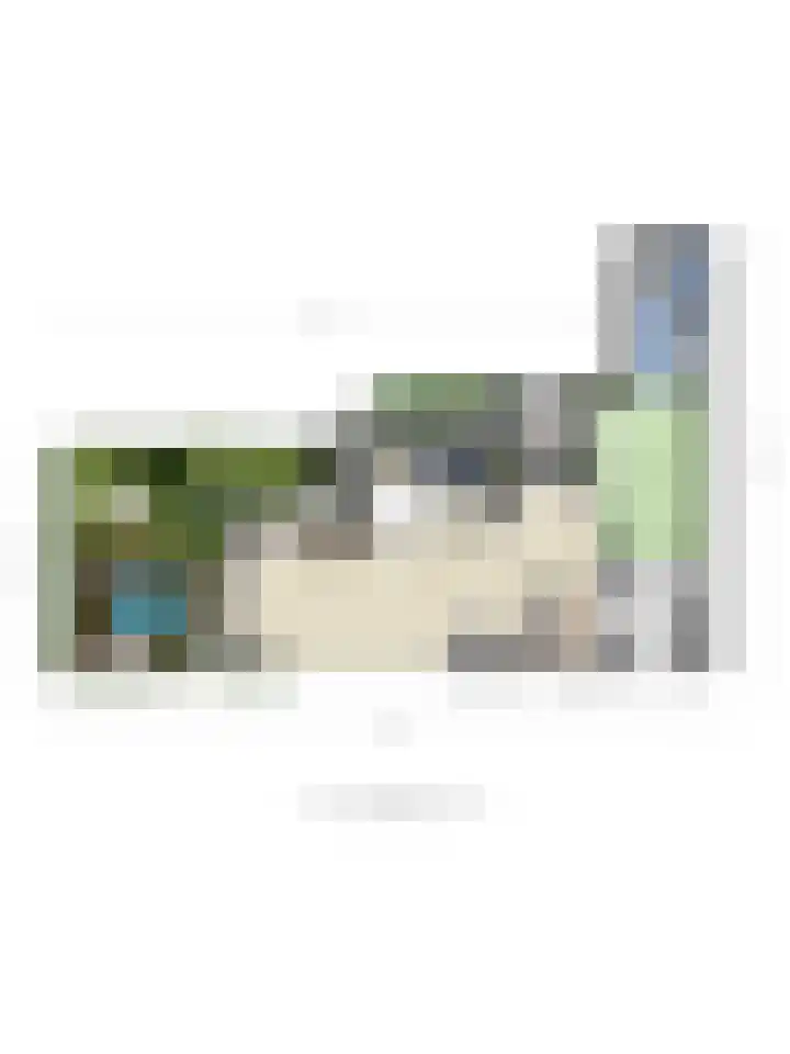 Koningshof 1 Riel thumbnail 59