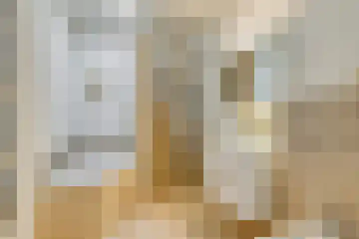 Koningshof 1 Riel thumbnail 6