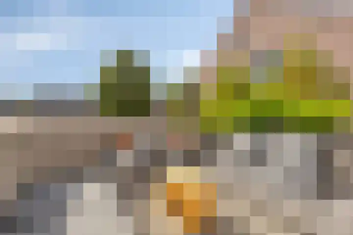 Koningshof 1 Riel thumbnail 7