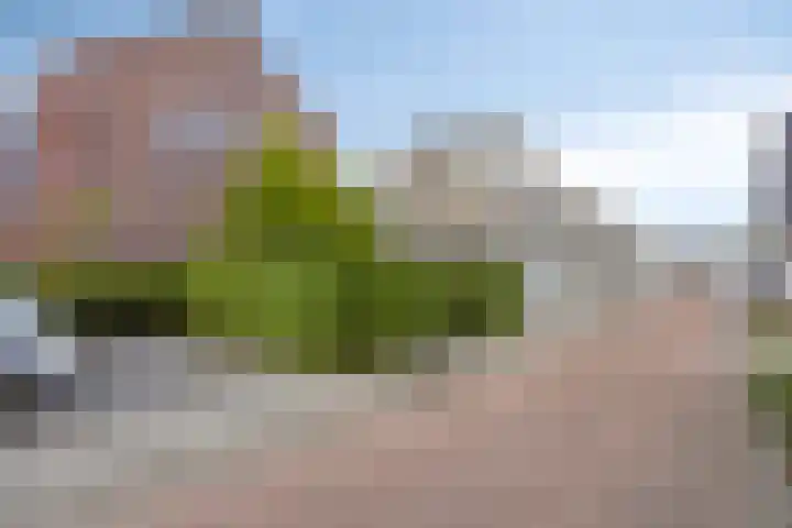 Koningshof 1 Riel thumbnail 9