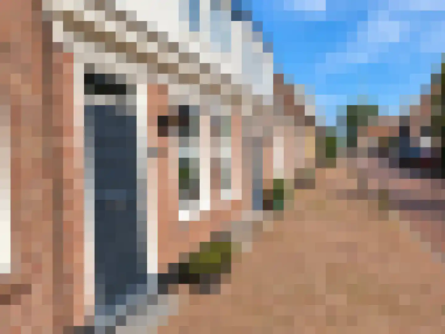 Koningshof 17 Medemblik thumbnail 30