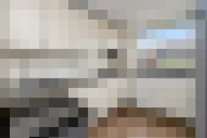 Koningshof 17 Obdam thumbnail 21