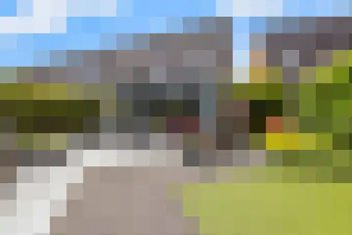 Koningshof 17 Obdam thumbnail 44