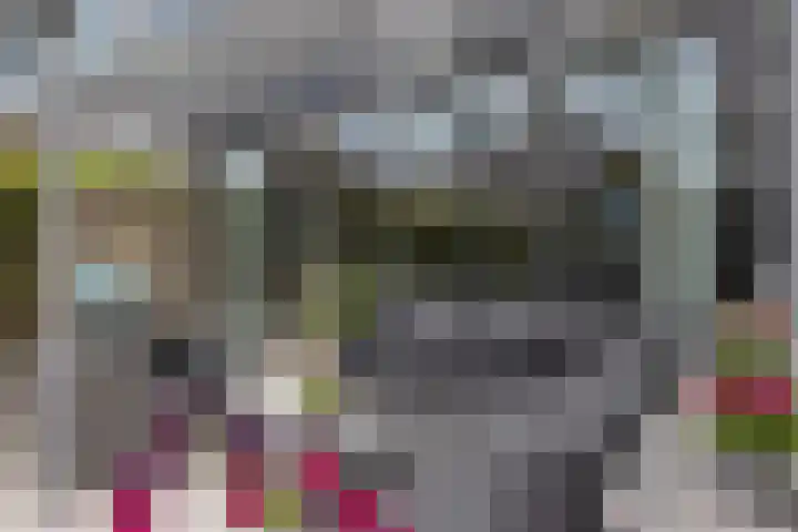 Koningshof 17 Obdam thumbnail 45