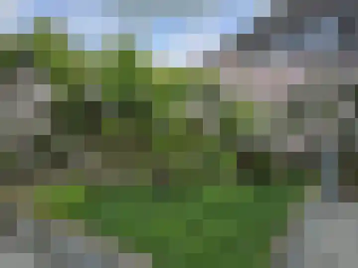 Koningshof 17 Obdam thumbnail 48
