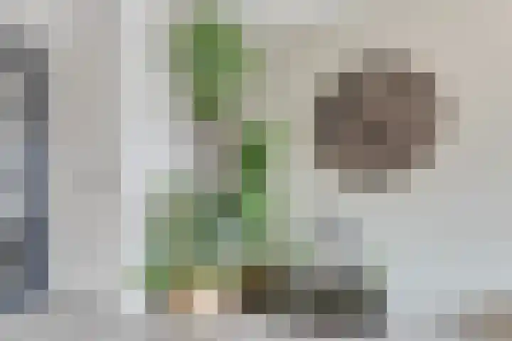 Koningshof 18 Obdam thumbnail 14