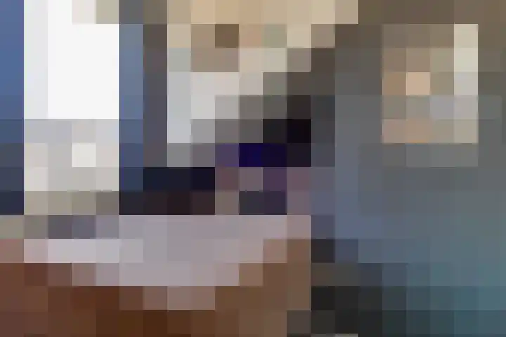 Koningshof 18 Obdam thumbnail 21
