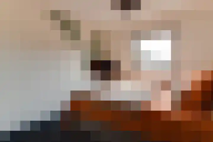 Koningshof 18 Obdam thumbnail 33