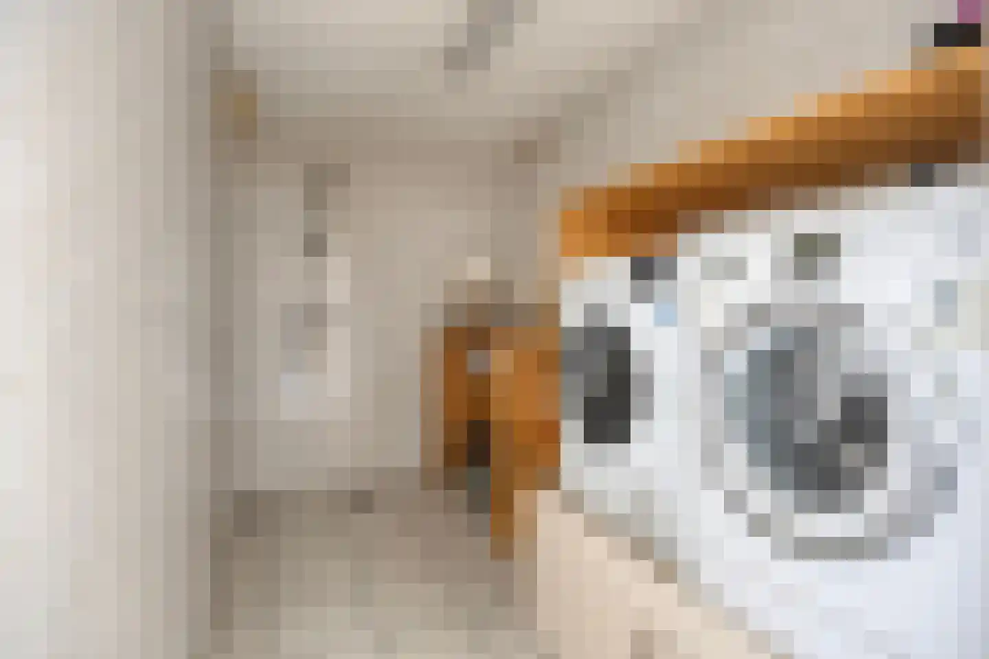 Koningshof 18 Rijpwetering thumbnail 17