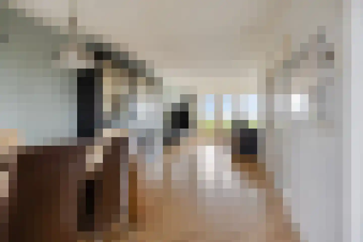 Koningshof 18 Rijpwetering thumbnail 6