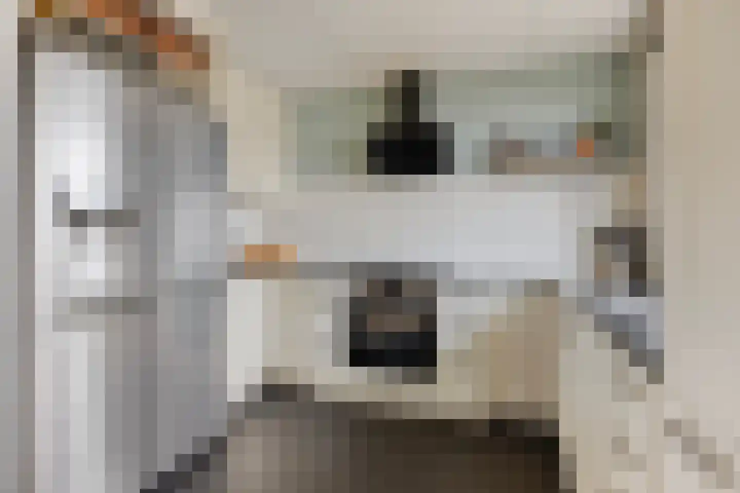 Koningshof 18 Rijpwetering thumbnail 8