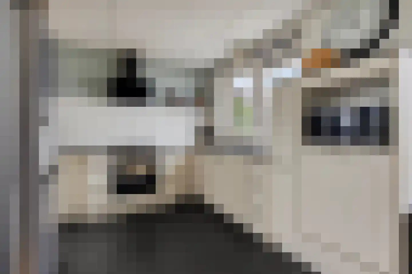 Koningshof 18 Rijpwetering thumbnail 9