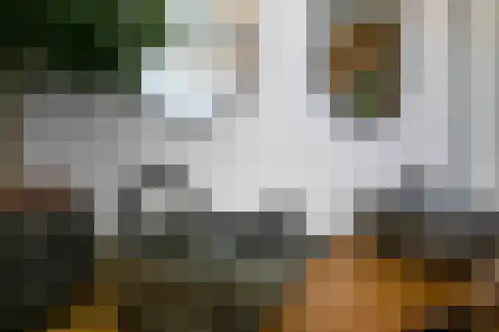 Koningshof 2 Hoevelaken thumbnail 20