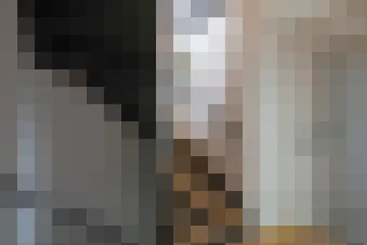 Koningshof 2 Hoevelaken thumbnail 22