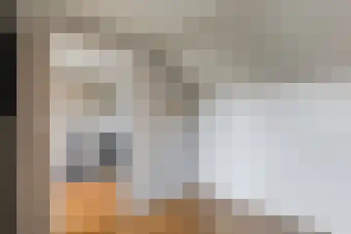 Koningshof 2 Hoevelaken thumbnail 26