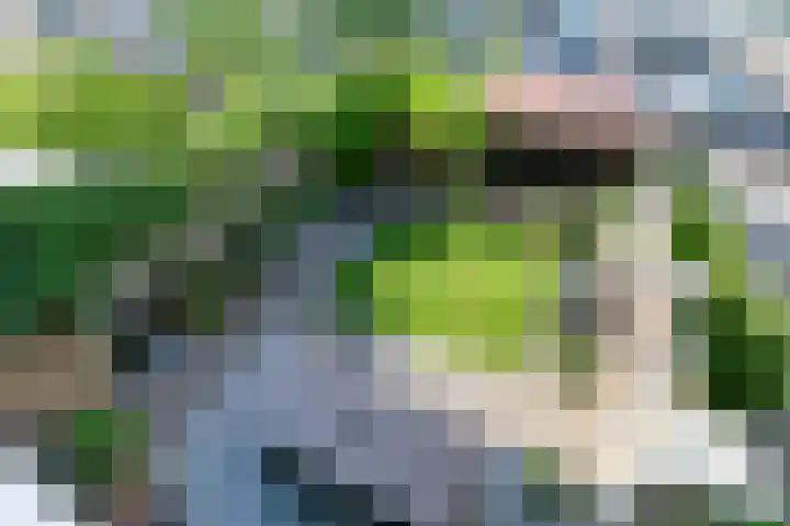Koningshof 2 Hoevelaken thumbnail 27