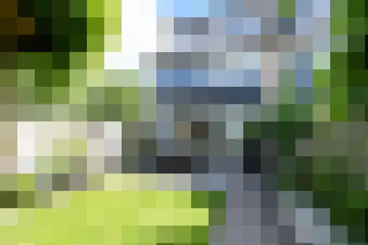 Koningshof 2 Hoevelaken thumbnail 28