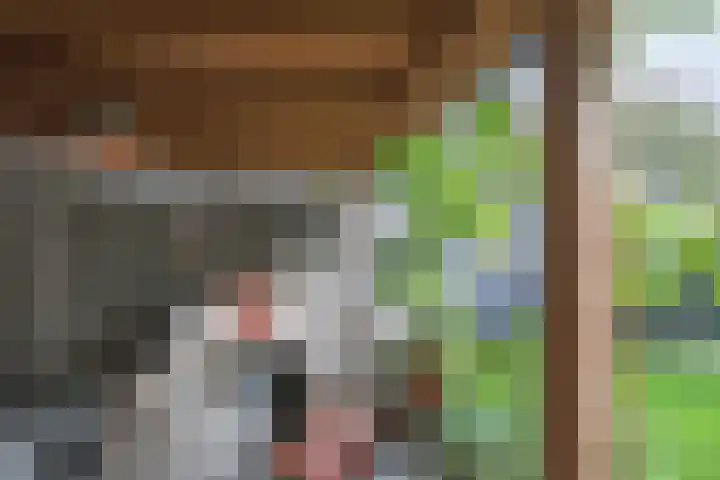 Koningshof 2 Hoevelaken thumbnail 29