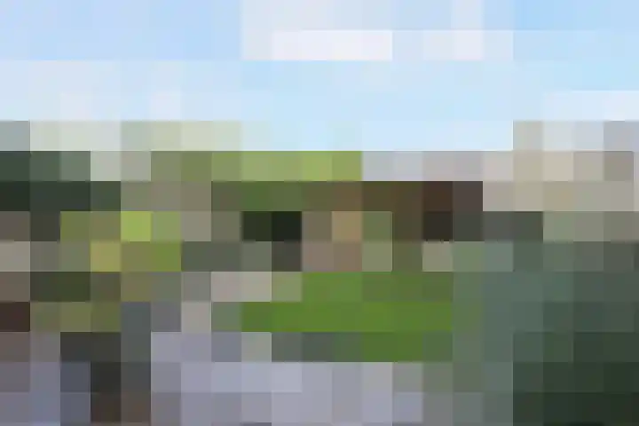 Koningshof 2 Hoevelaken thumbnail 33