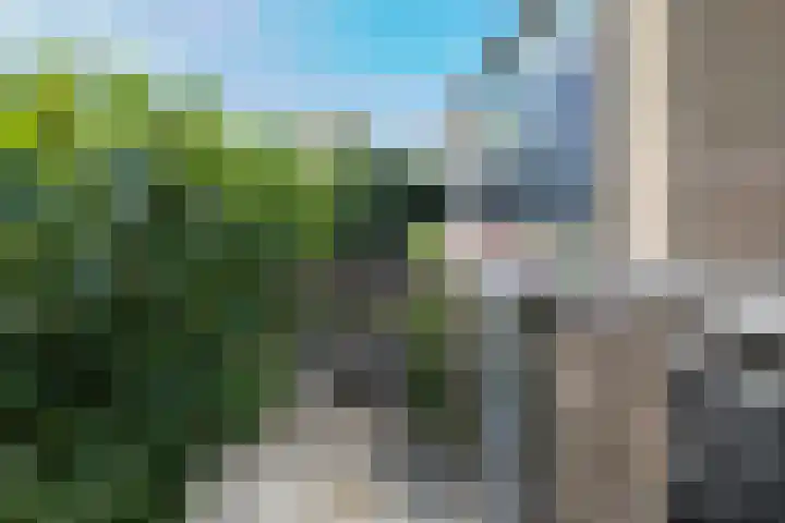Koningshof 2 Hoevelaken thumbnail 40
