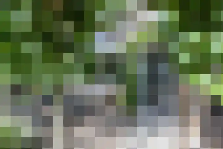 Koningshof 2 Hoevelaken thumbnail 42