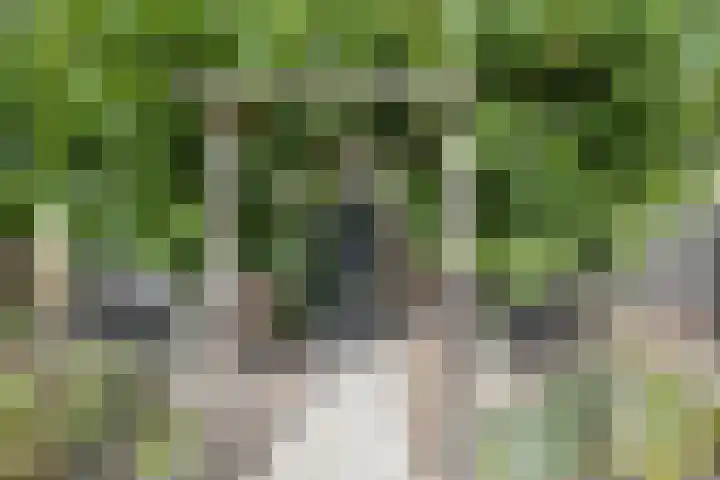 Koningshof 2 Hoevelaken thumbnail 43