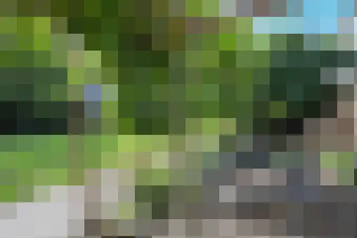 Koningshof 2 Hoevelaken thumbnail 45