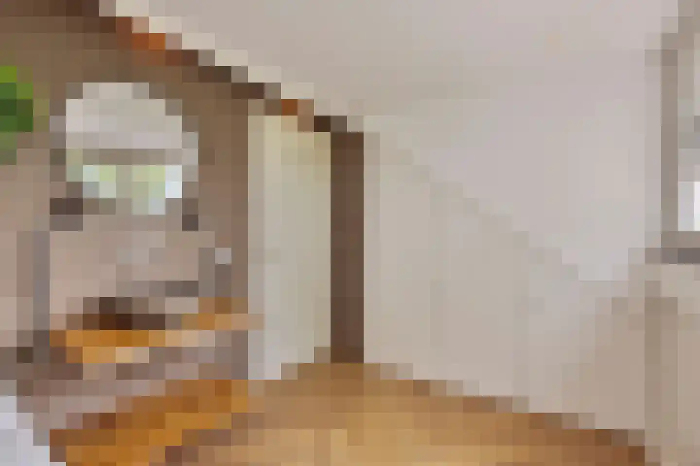Koningshof 26 Leiderdorp thumbnail 33