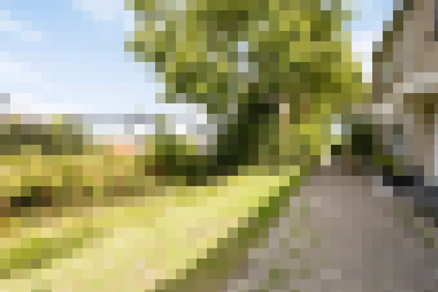 Koningshof 26 Leiderdorp thumbnail 35