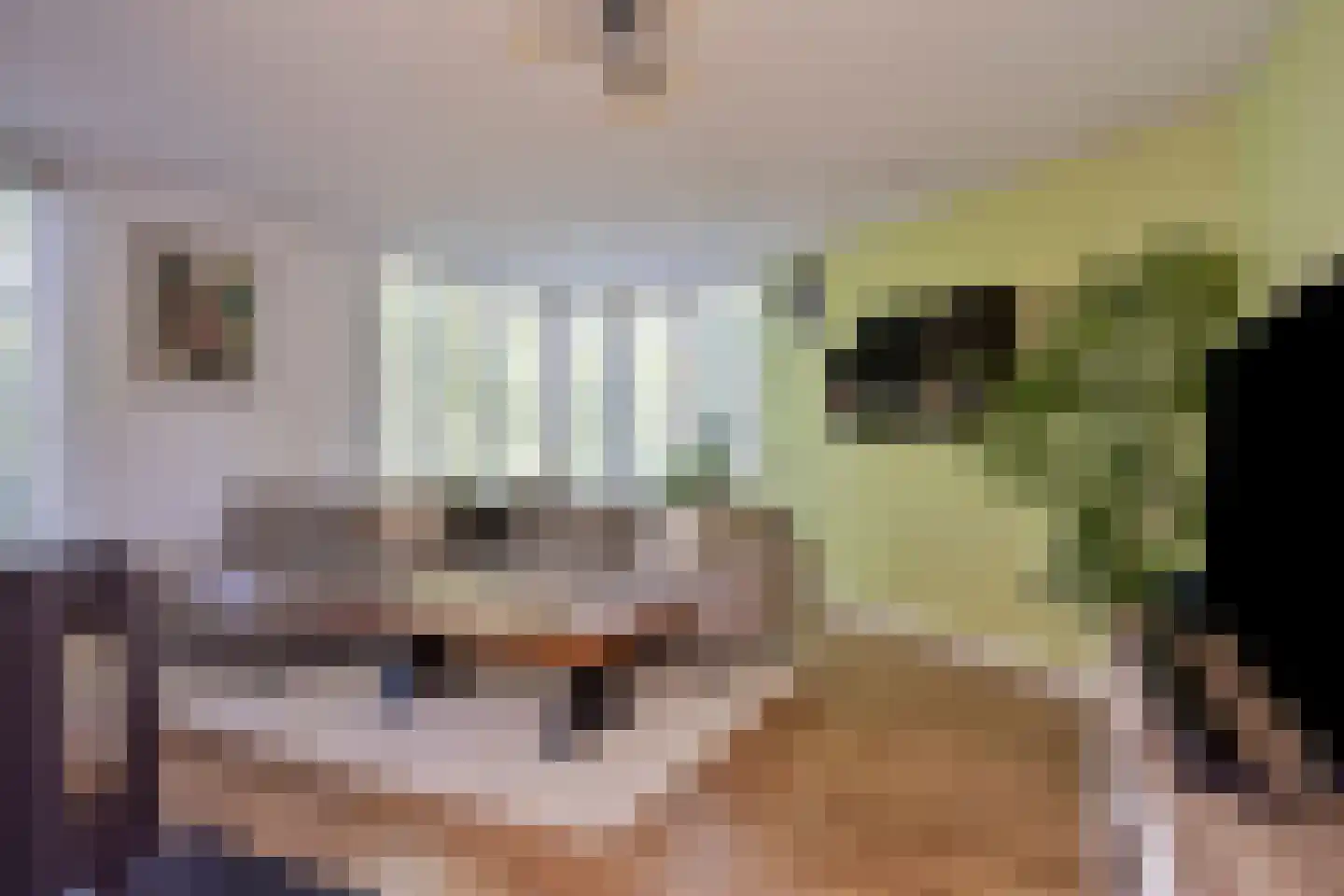 Koningshof 26 Leiderdorp thumbnail 4