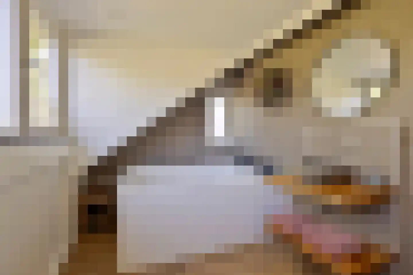 Koningshof 26 Leiderdorp thumbnail 5