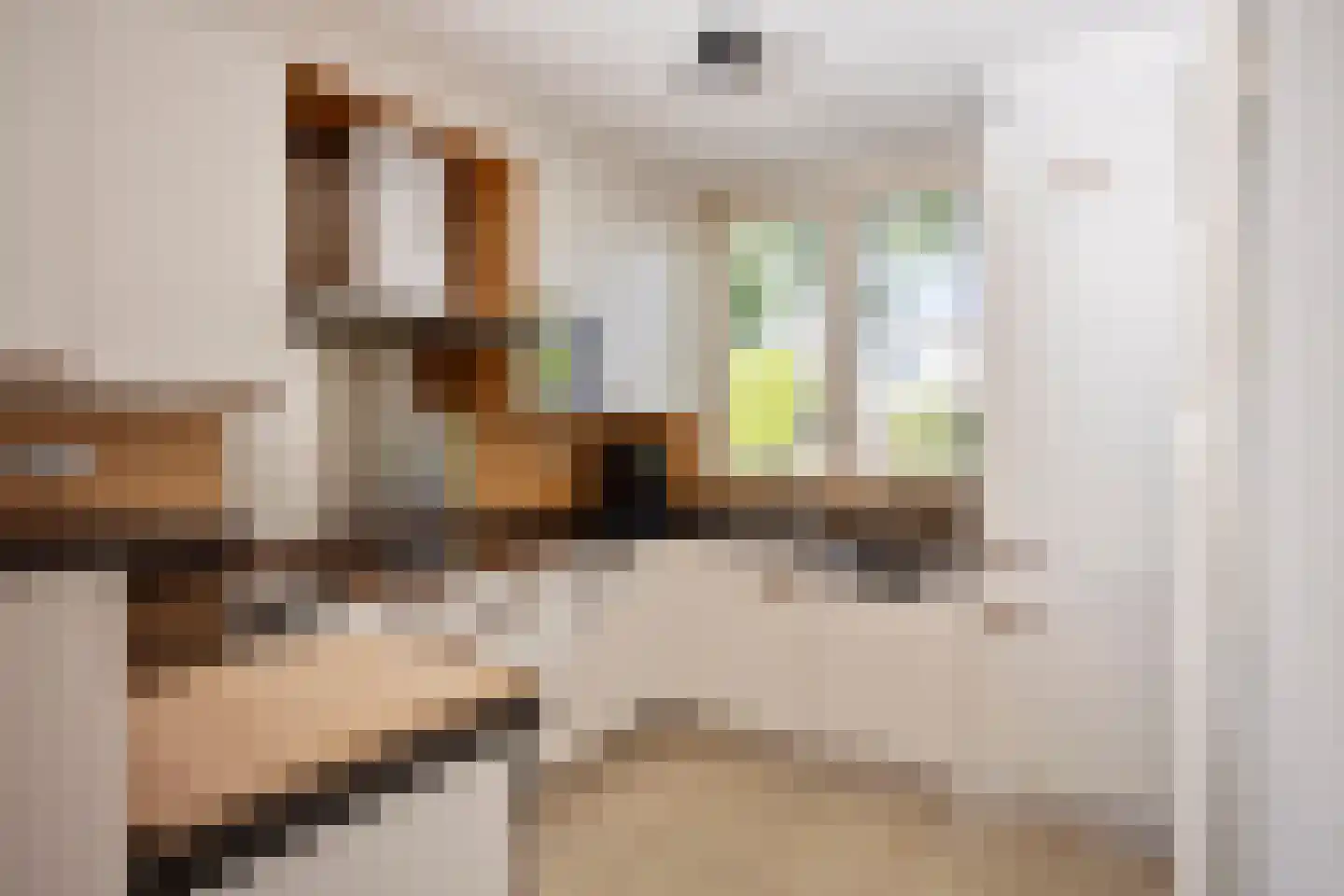 Koningshof 26 Leiderdorp thumbnail 7