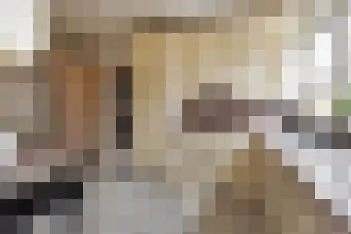 Koningshof 26 Pijnacker thumbnail 15