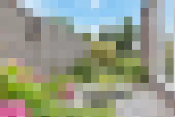 Koningshof 26 Pijnacker thumbnail 18