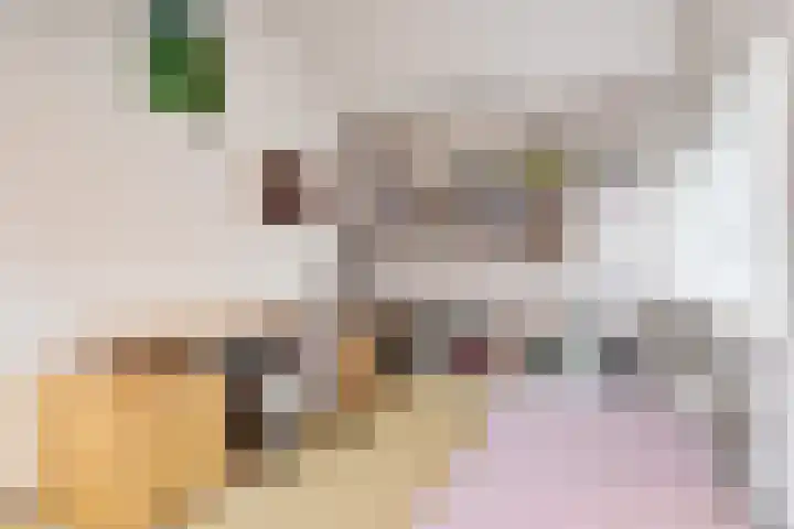 Koningshof 26 Pijnacker thumbnail 37