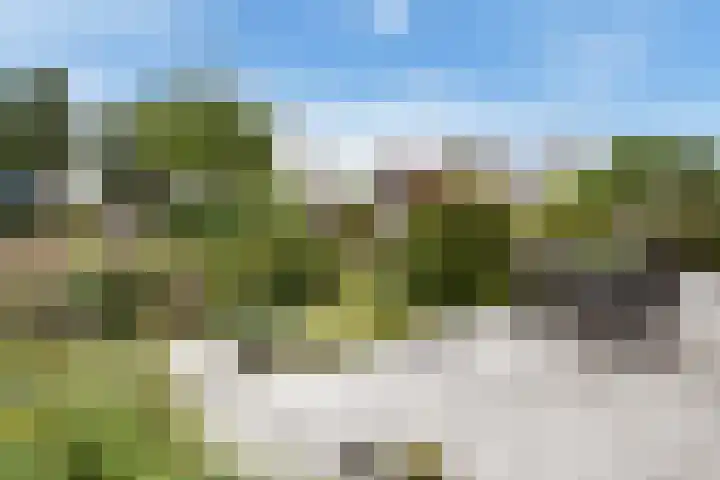 Koningshof 26 Pijnacker thumbnail 5