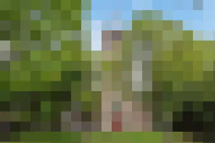 Koningshof 26 Pijnacker thumbnail 51